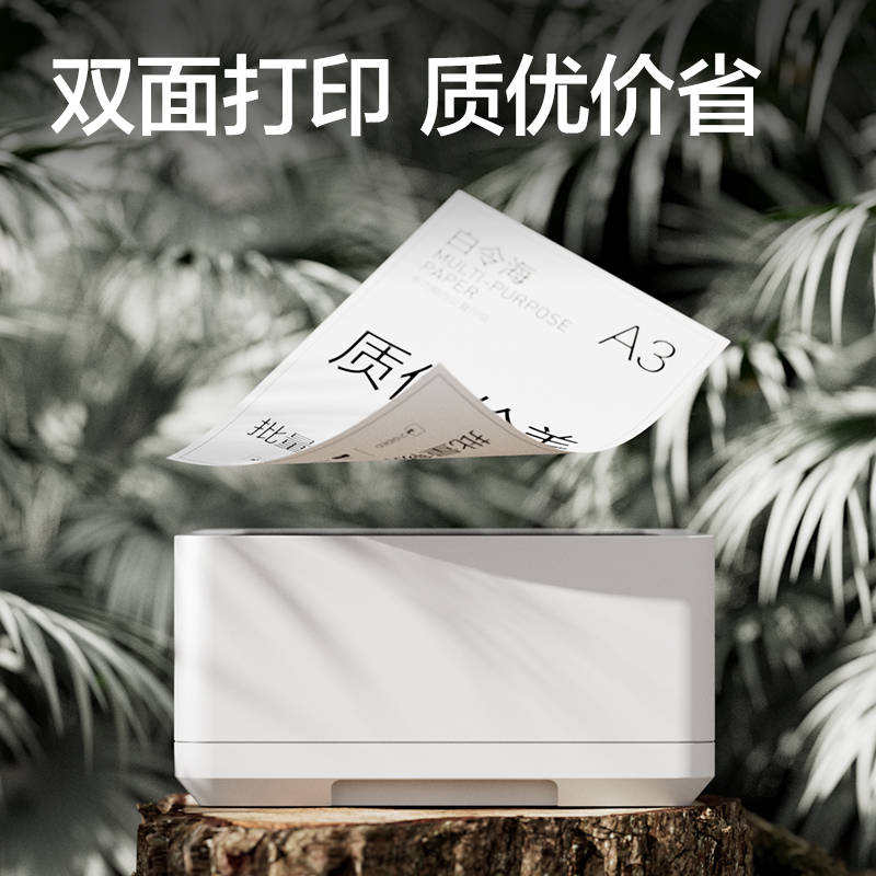 池兆诺ZF7761-5白令海复印纸A3-80g-5包(混)(箱)